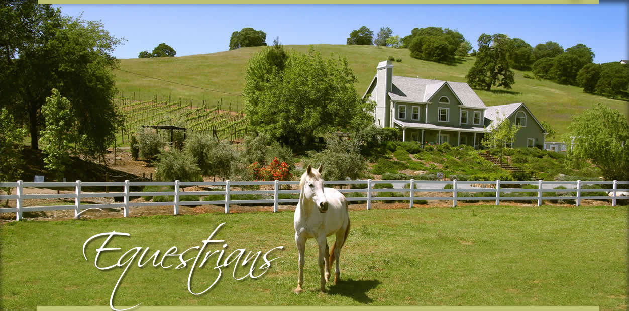 Coloma Horse Lodging, El Dorado Overnight stabling